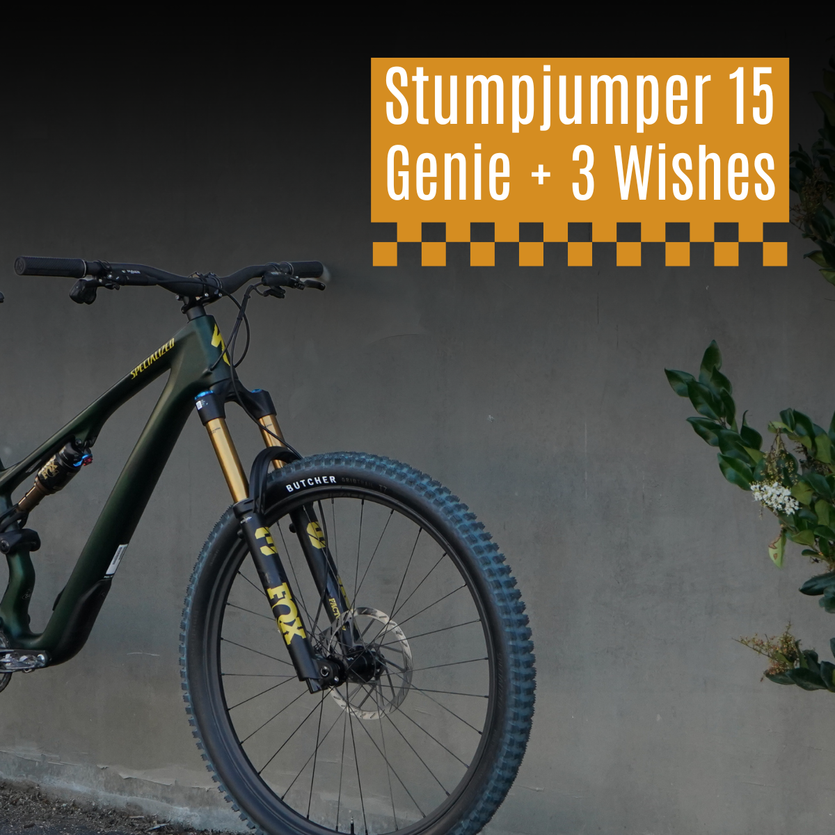 Stumpy 15 - Pro Bike Supply