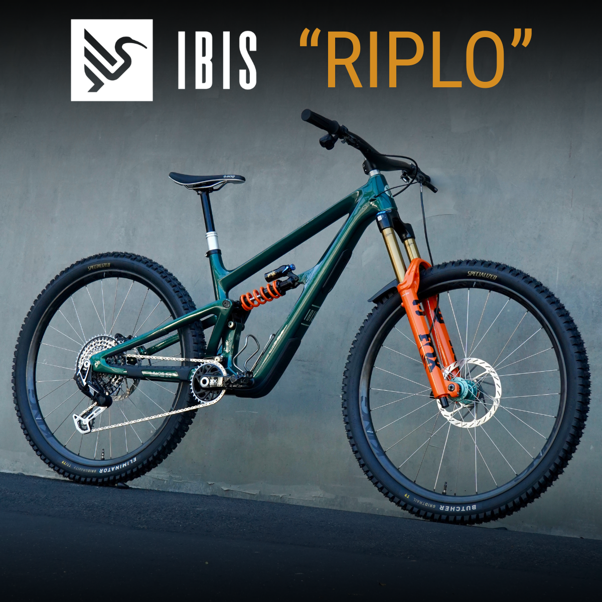 The Bike For a 13 Year Veteran Of The Industry