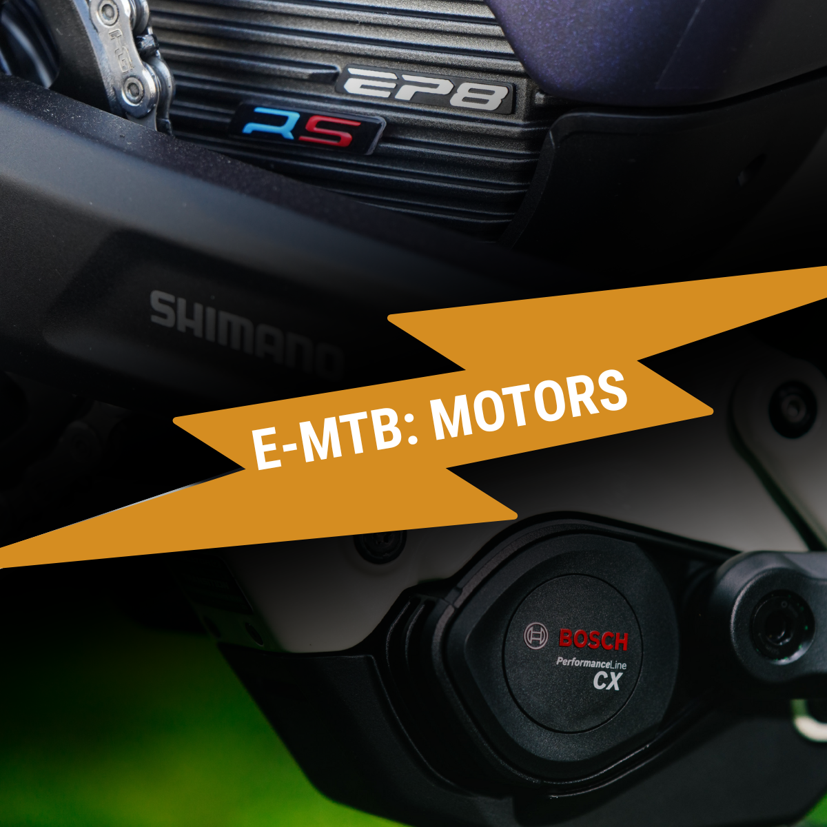 Choosing the Best E-MTB Motor: A Professional Perspective
