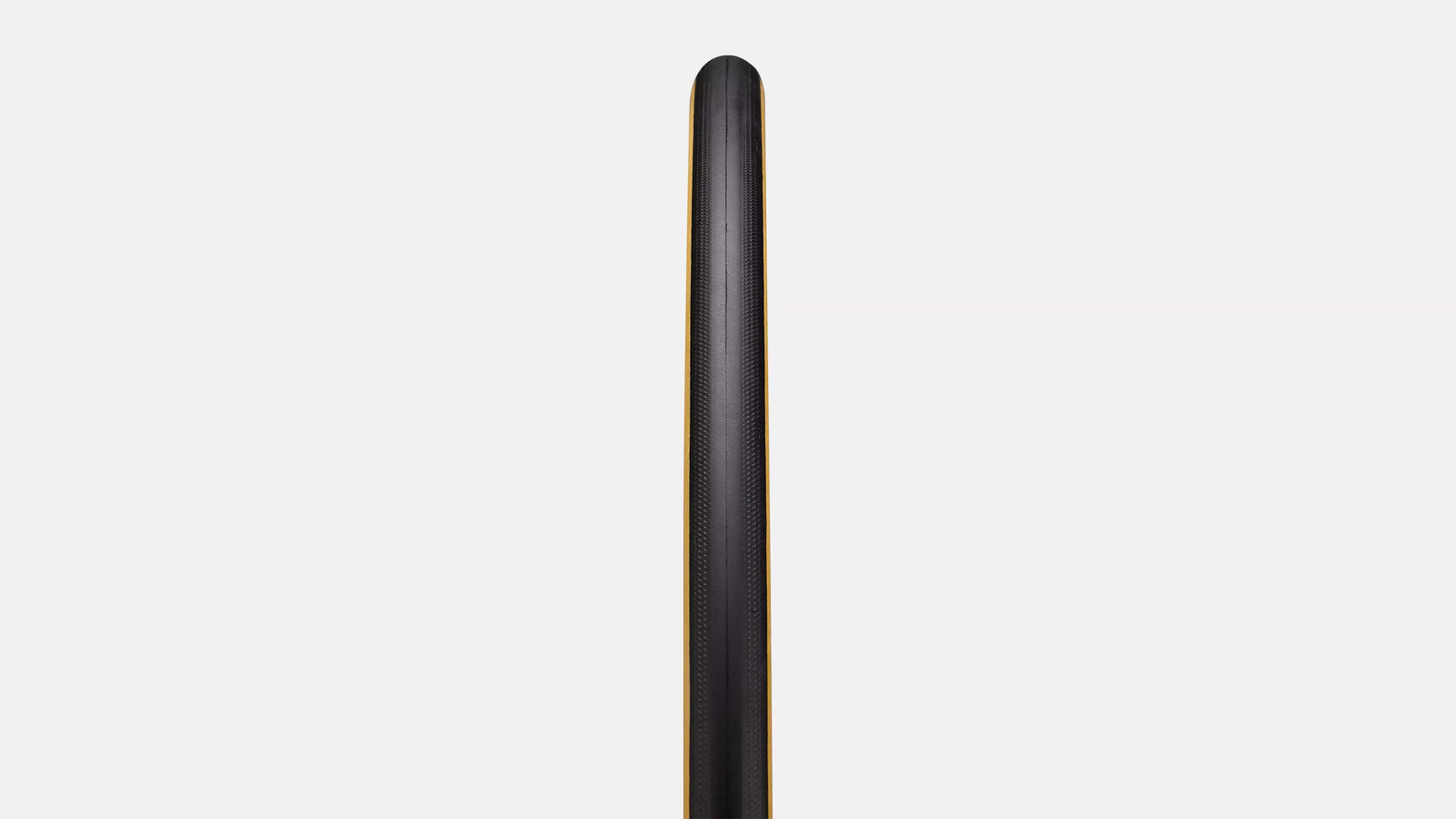 2026 Specialized Cotton TLR Road Tire