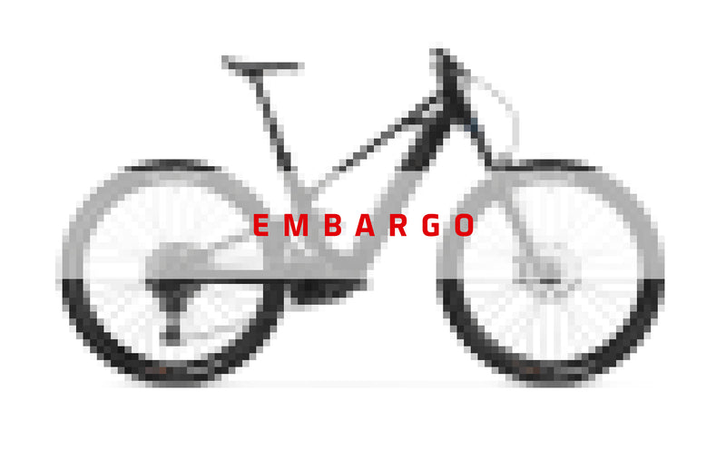 2026 Mondraker SCREE R 29" Trail Mountain E-Bike