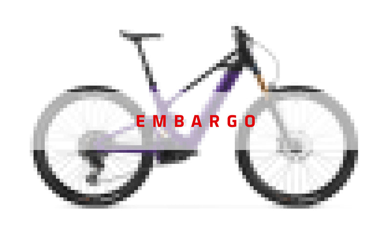 2026 Mondraker SCREE RR 29" Trail Mountain E-Bike