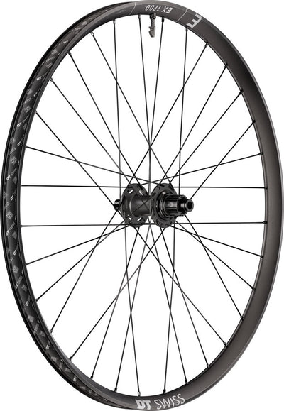 DT Swiss EX 1700 Classic 30 Rear Wheel - 29" 12 x 148mm Center-Lock Micro Spline DEG 72 DF BLK