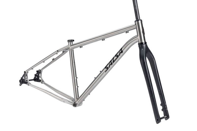 Salsa Fargo Ti Frameset - 29" Titanium Brushed Titanium Large
