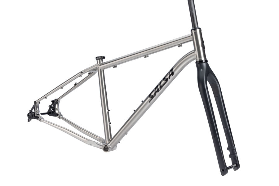 Salsa Fargo Ti Frameset - 29" Titanium Brushed Titanium Medium