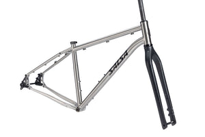 Salsa Fargo Ti Frameset - 29" Titanium Brushed Titanium Medium