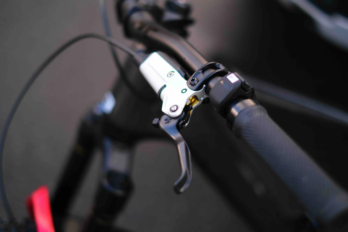 Crestline Bikes RS 181.2 Speed Shop Edition E-Bike