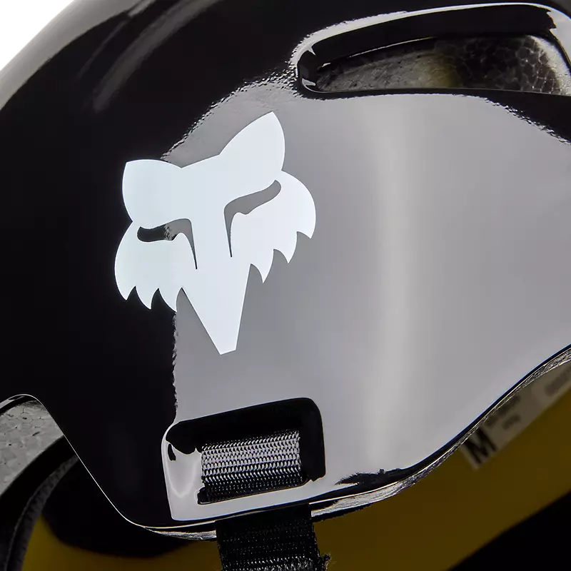 Flight Helmet