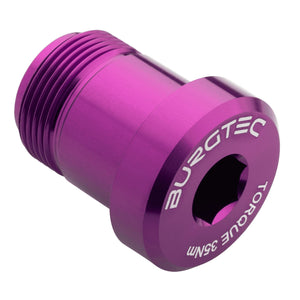 Burgtec SRAM T-Type Derailleur Bolt - Bolt 2 - Purple Rain