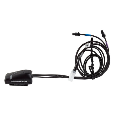 Campagnolo EPS Essentials IF19-12EPS Interface V4 12s