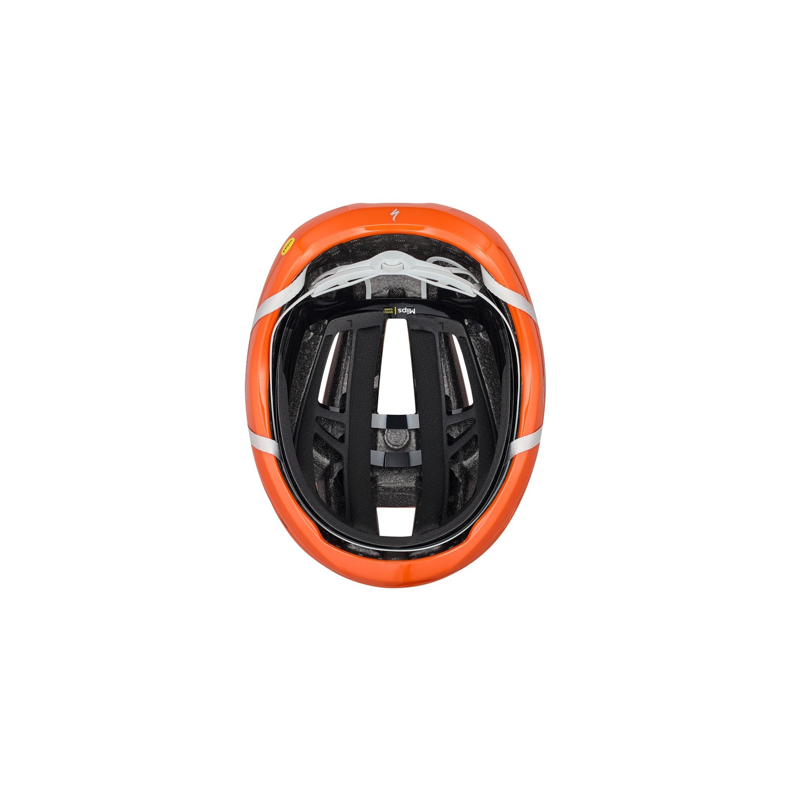 Search