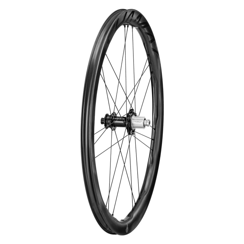 Campagnolo Shamal Dual Profile Carbon 700c Wheel SET