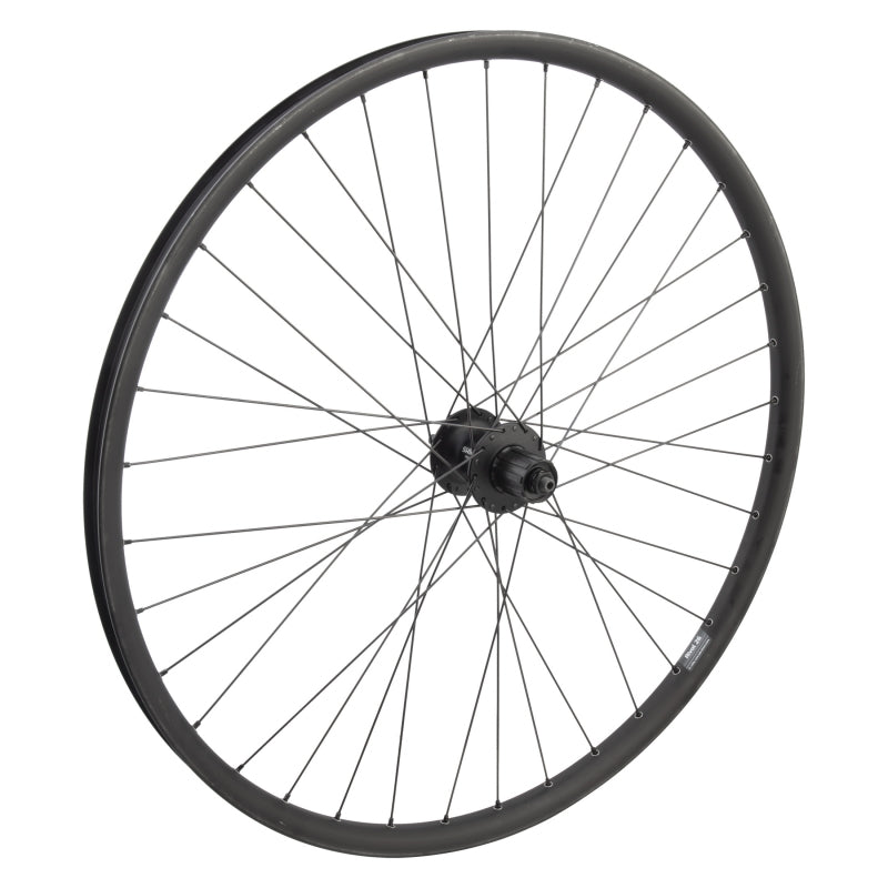 Wheel master 29` Alloy Mountain Disc Double Wall 29in Wheel Rear
