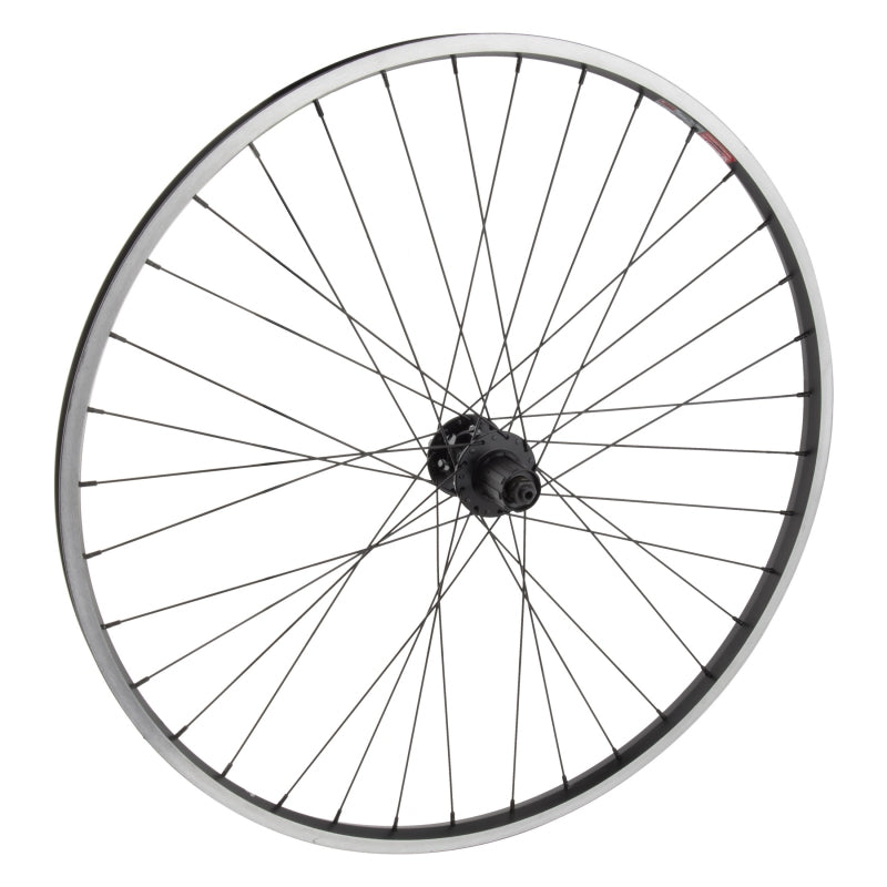 Wheel master 29in Cruiser/Comfort 29in Wheel Rear