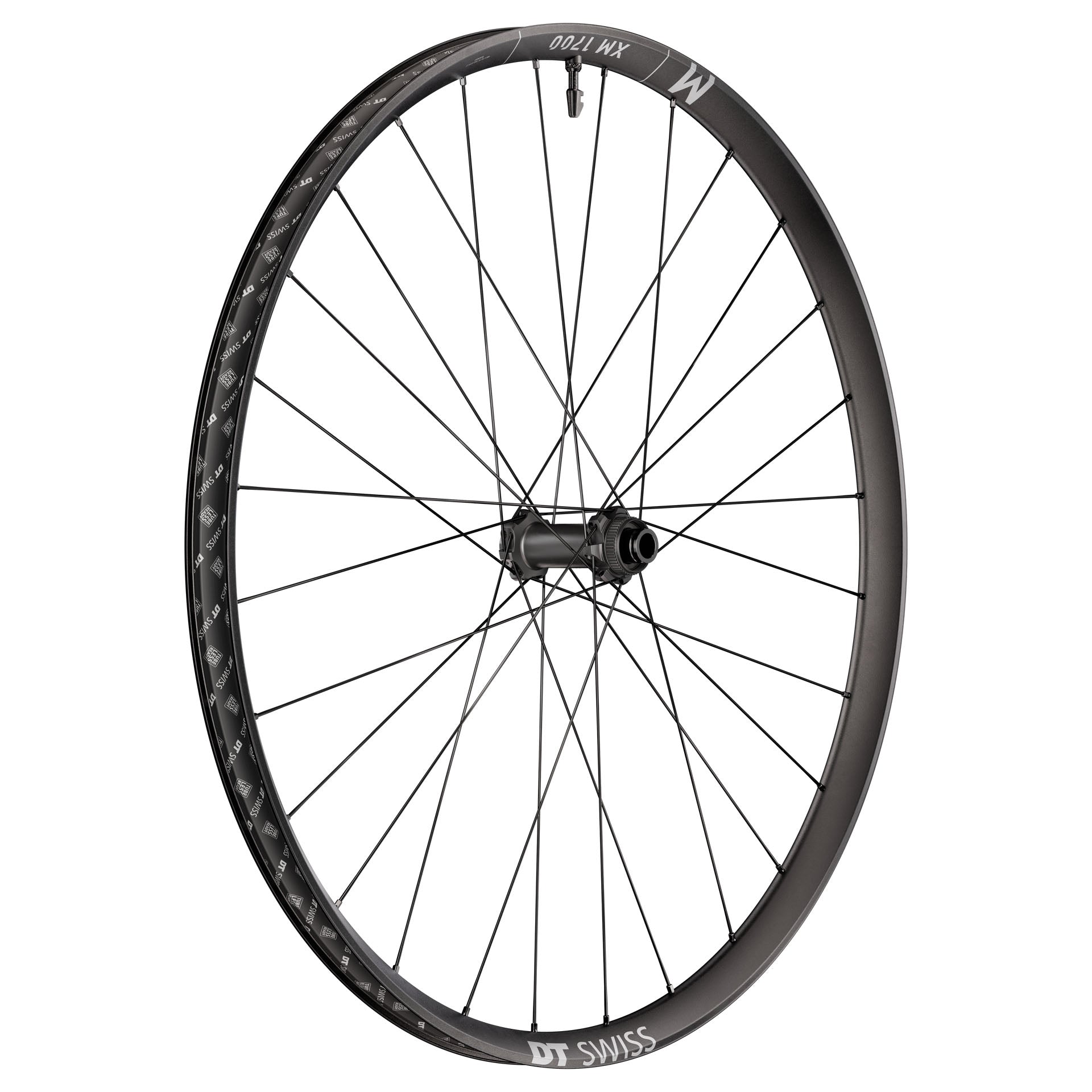 DT Swiss XM 1700 Spline Front Wheel 29" 15x110