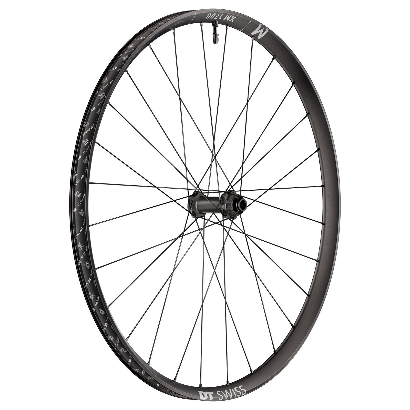 DT Swiss XM 1700 Spline Front Wheel 29" 15x110