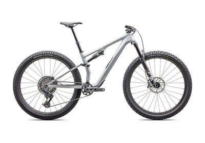 2025 Specialized Epic 8 Expert Evo Bike Satin Silver Dust / Gunmetal L