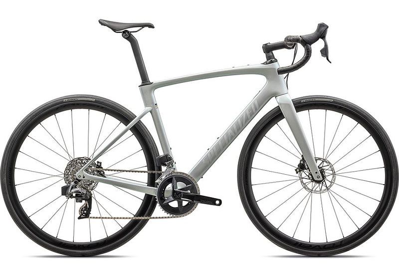 2025 Specialized Roubaix Expert Bike Gloss Dove Grey/Chameleon Lapis  58