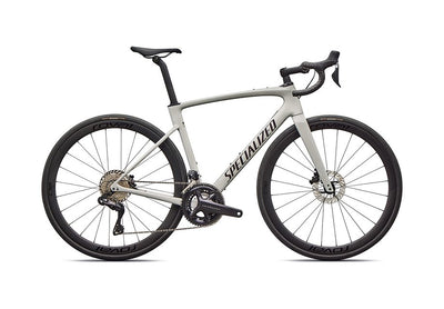 2026 Specialized Roubaix Expert Bike Dolomite Metallic/Sandstone Metallic 44