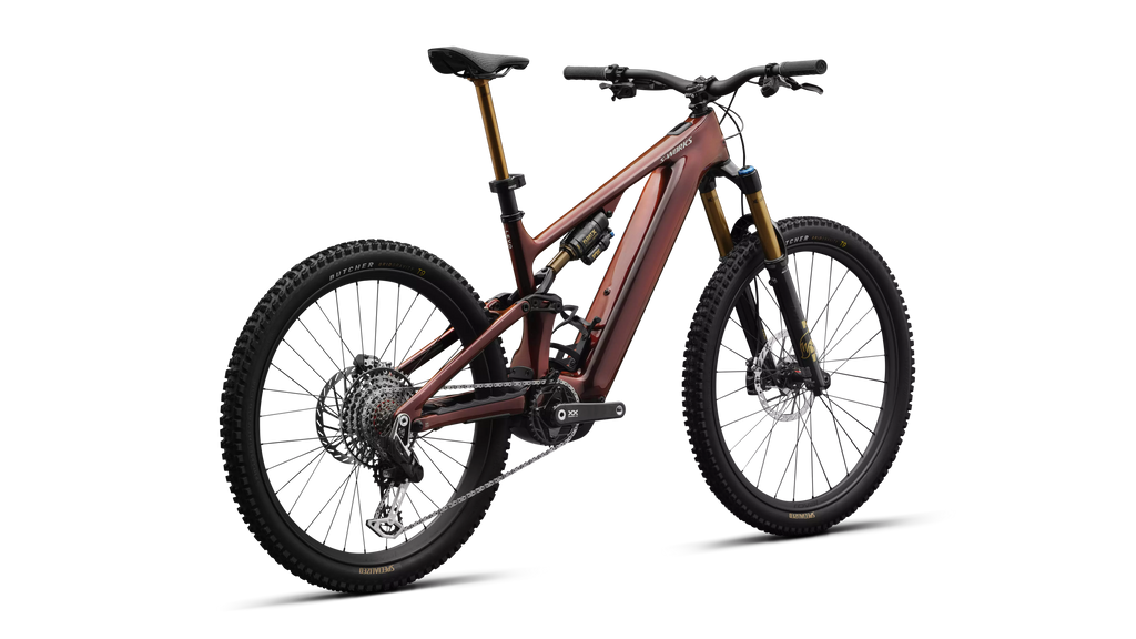 95224-01_LEVO-SW-CARBON-G4-