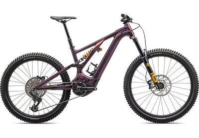 2024 Specialized levo alloy ltd bike chameleon s6