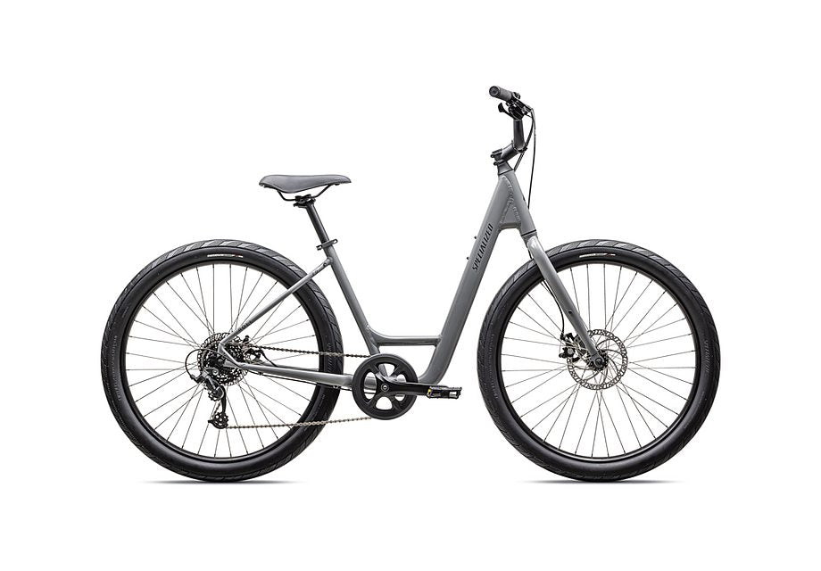 2025 Specialized roll 2.0 low entry bike gloss cool grey / satin smoke reflective l