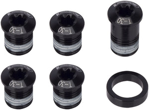 FSA Chainring Bolt Kit for K-Force Light ABS - Silver