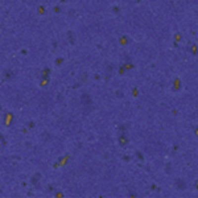 Profile Design Adhesive Cork Bar Tape - Blue