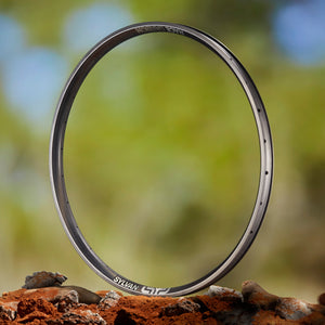 Sylvan Race Carbon All Mountain Rim