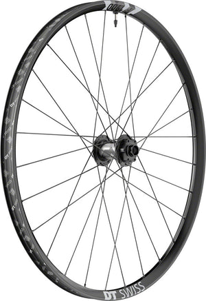 DT Swiss F 1900 Classic Front Wheel - 29" 20 x 110mm DH Boost 6-Bolt Black
