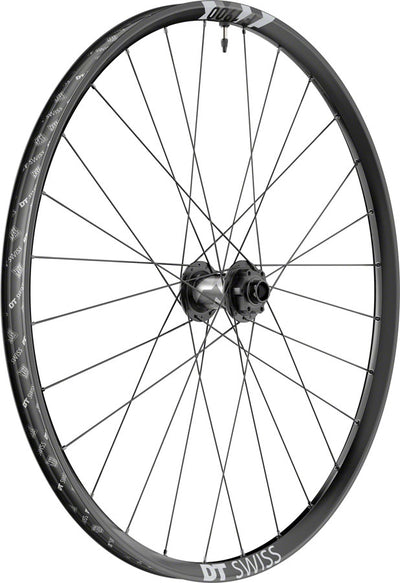 DT Swiss F 1900 Classic Front Wheel - 29" 20 x 110mm DH Boost 6-Bolt Black