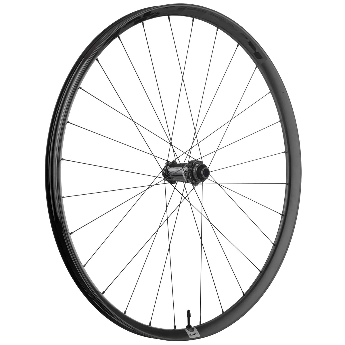 Race Face Era SL 29" Front Wheel CL 15x110 Black