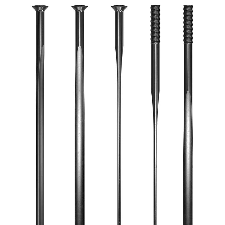 Raggio DtSwiss Aerolite 2.0x2.3x0.9x300mm - Bici e sport
