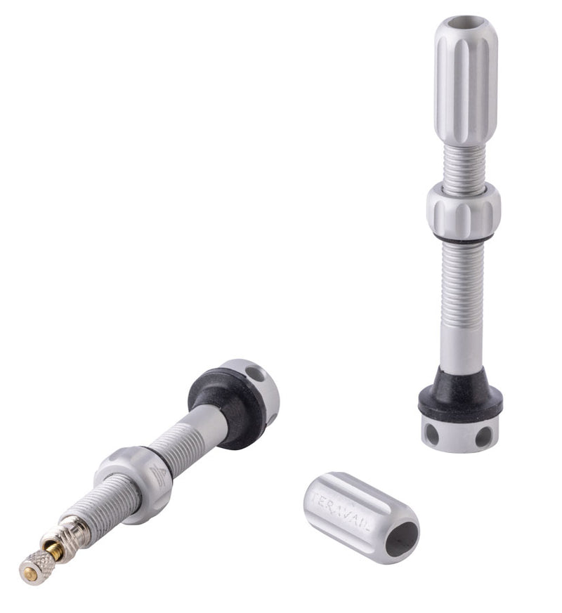 Teravail Alloy Tubeless Valves - Pair 48mm  Matte Silver