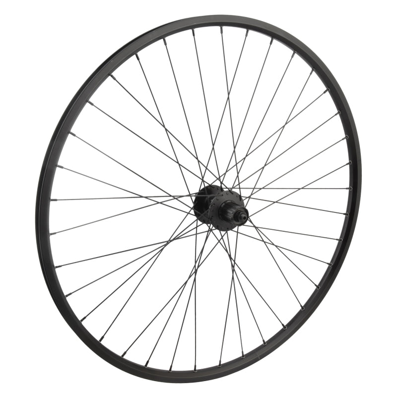 Wheel master 29` Alloy Mountain Disc Double Wall 29in Wheel Rear