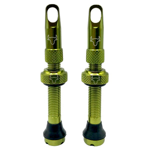 Hold Fast Cycling Tubeless Valve Stem 42mm (Pair) - Green