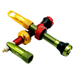 Hold Fast Cycling Tubeless Valve Stem 42mm (Pair) - Rasta