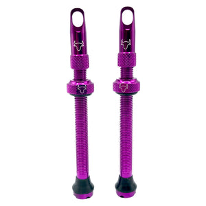 Hold Fast Cycling Tubeless Valve Stem 65mm (Pair) - Purple