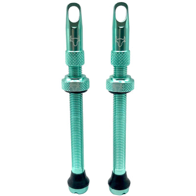 Hold Fast Cycling Tubeless Valve Stem 65mm (Pair) - Turquoise