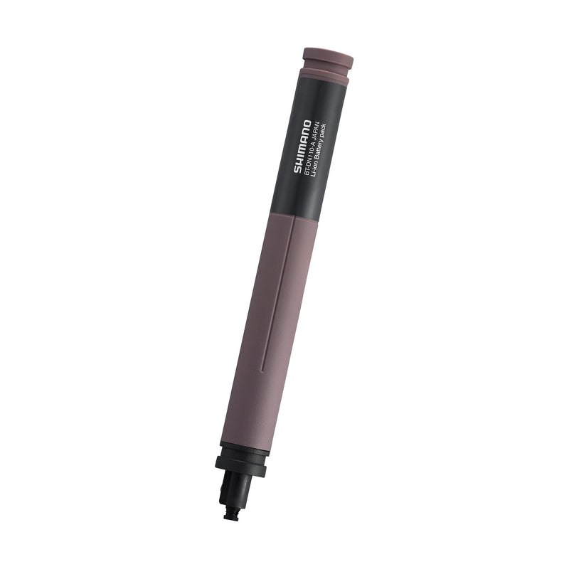 BT-DN110 Battery, Built-in Type