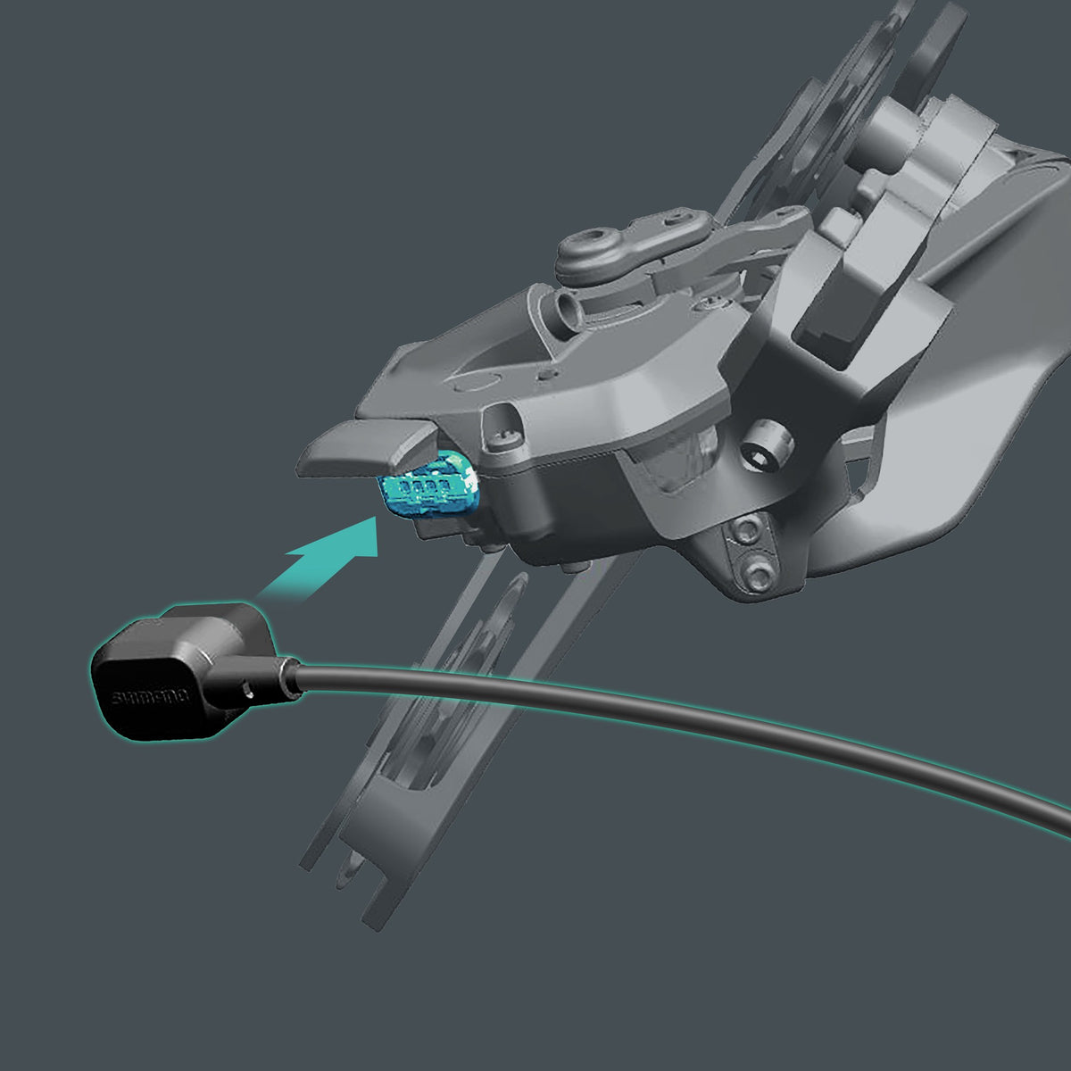 EW-EC300 Charging Cable
