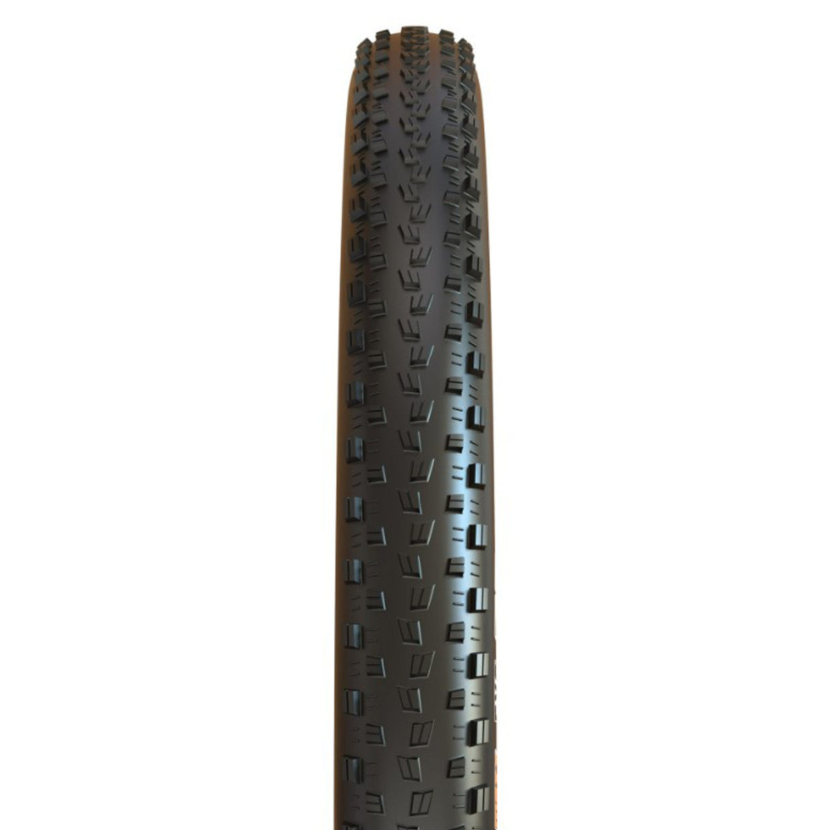 Severe, 29x2.25", EXO/TR/MaxxSpeed  NLS