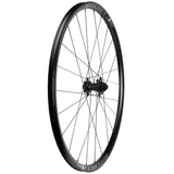 Ritchey WCS Zeta Wheelset - 700c 12 x 100mm/12 x 142mm Center-Lock Micro Spline BLK