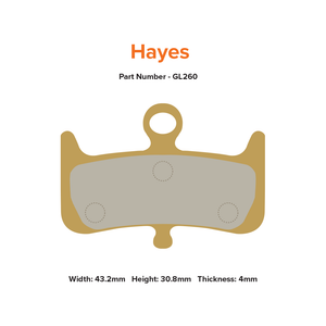 MTX Braking Gold Label HD Hayes Dominion A4