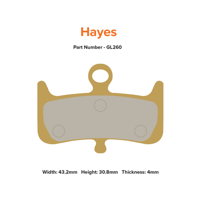 MTX Braking Gold Label HD Hayes Dominion A4