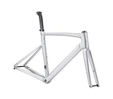 2023 Specialized Allez Sprint Frameset - 61Cm, Satin Silver Dust/Gloss Transparent Decals