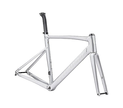 2023 Specialized Allez Sprint Frameset - 61Cm, Satin Silver Dust/Gloss Transparent Decals