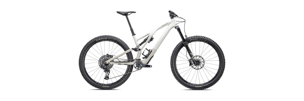 2023 Specialized Stumpjumper EVO Expert 29" Carbon Mountain Bike - S1, Gloss Birch / Taupe
