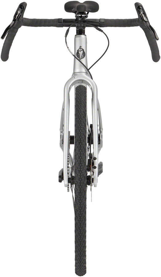Salsa Stormchaser Single Speed Bike - 700c, Aluminum, Silver, 56cm
