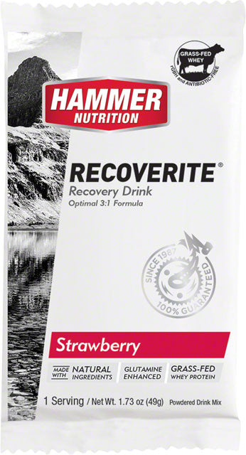 Hammer Nutrition Recoverite 2.0 Recovery Drink - Strawberry, 12 Single Serving Packets